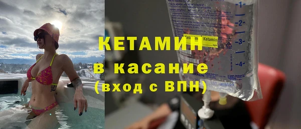 шишки Удомля