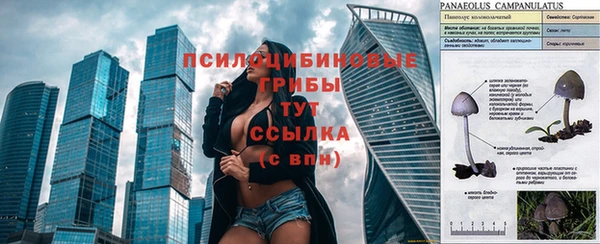 первитин Слюдянка