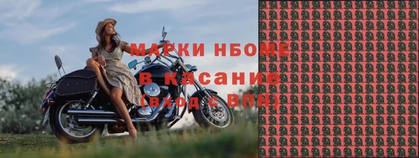 шишки Удомля