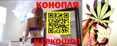 бошки Дубна